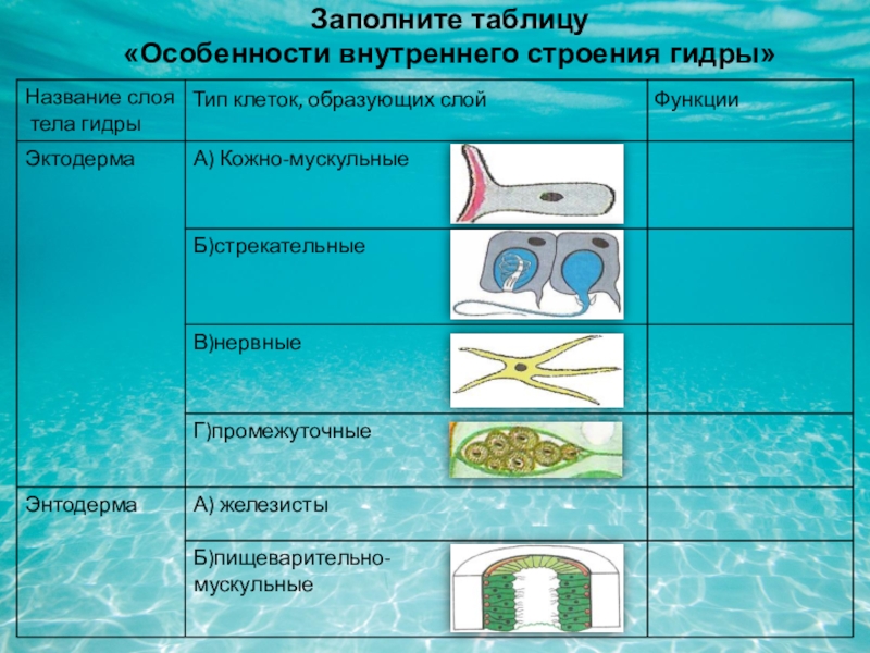 Даркнет сайт скачать